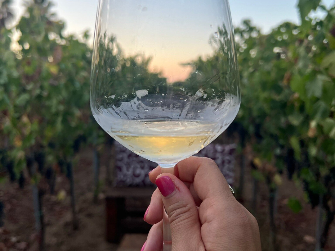Furchì Wine景点图片