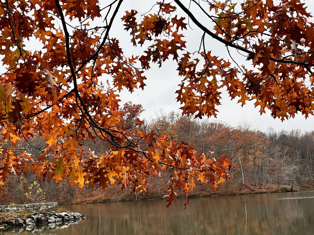 Rock Creek Regional Park-罗克维尔必去景点