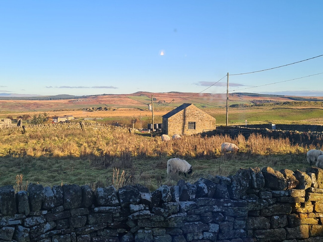 The Gun at Ridsdale主图