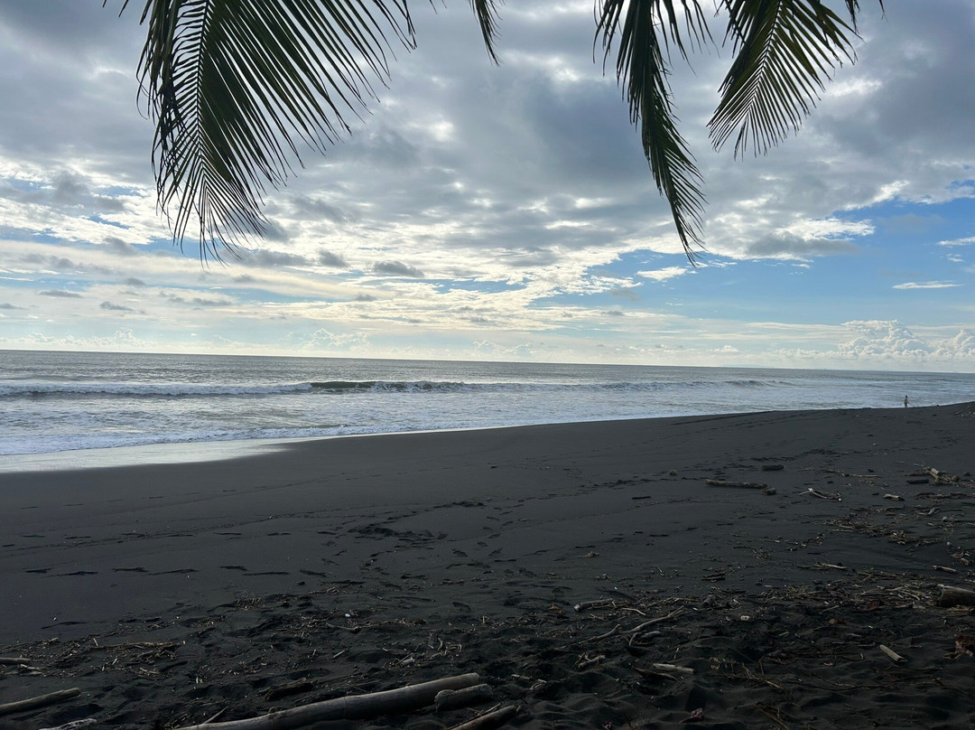 Playa Hermosa旅游攻略图片