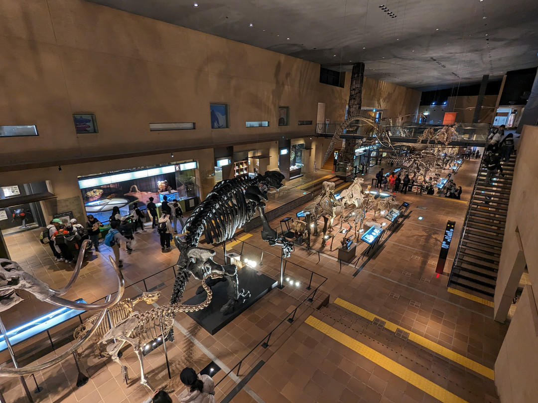 Kitakyushu Museum of Natural History & Human History-北九州市必去景点