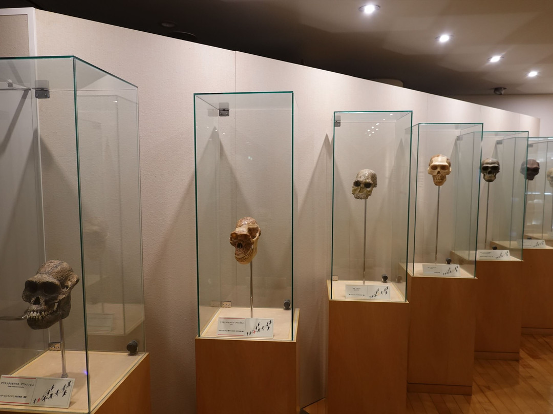 Chiteinomori Mueum-仙台市必去景点