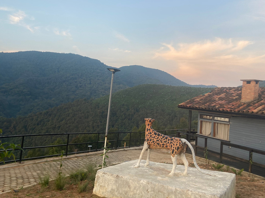 Nyungwe Nziza Ecolodge主图
