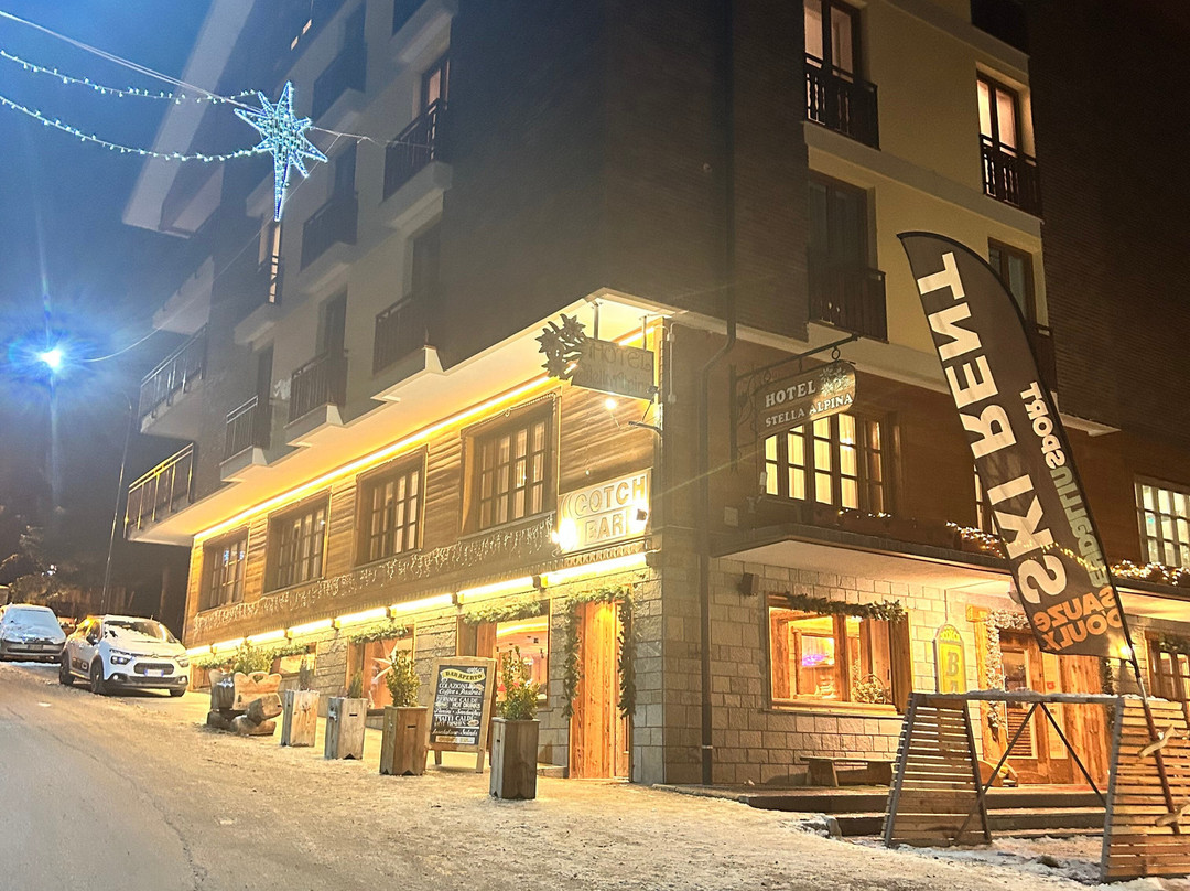 Hotel Stella Alpina主图