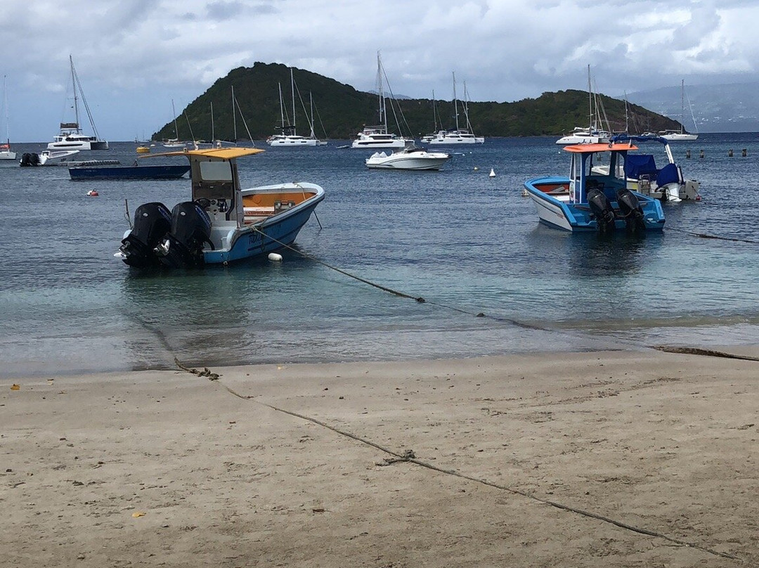 La Dive Bouteille - Plongees des Saintes-Terre-de-Haut必去景点