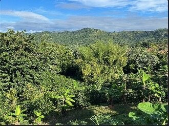 Hacienda Juanita主图