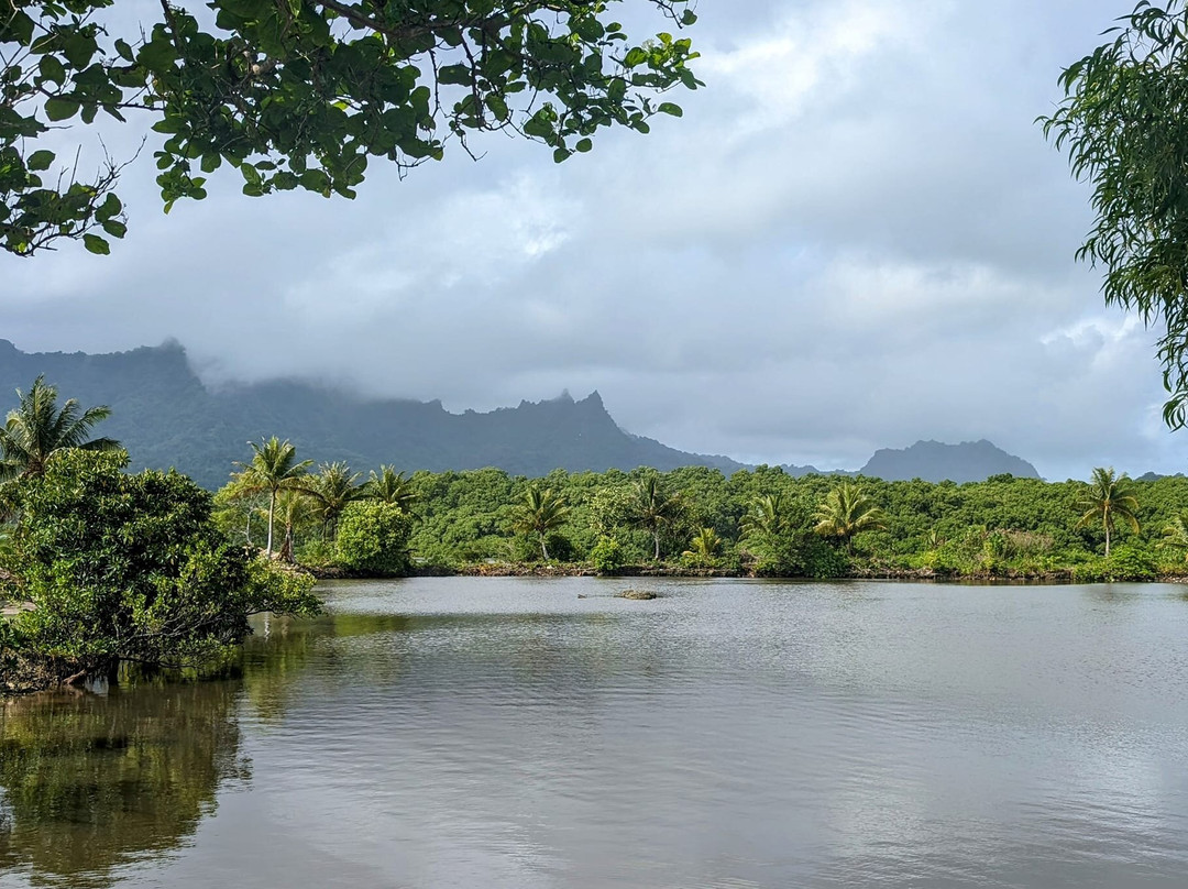 Lelu Island景点图片