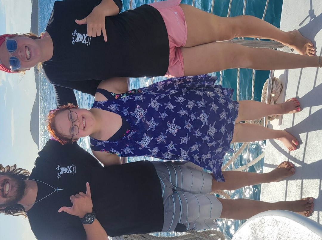 The VI Cat-Estate Thomas必去景点