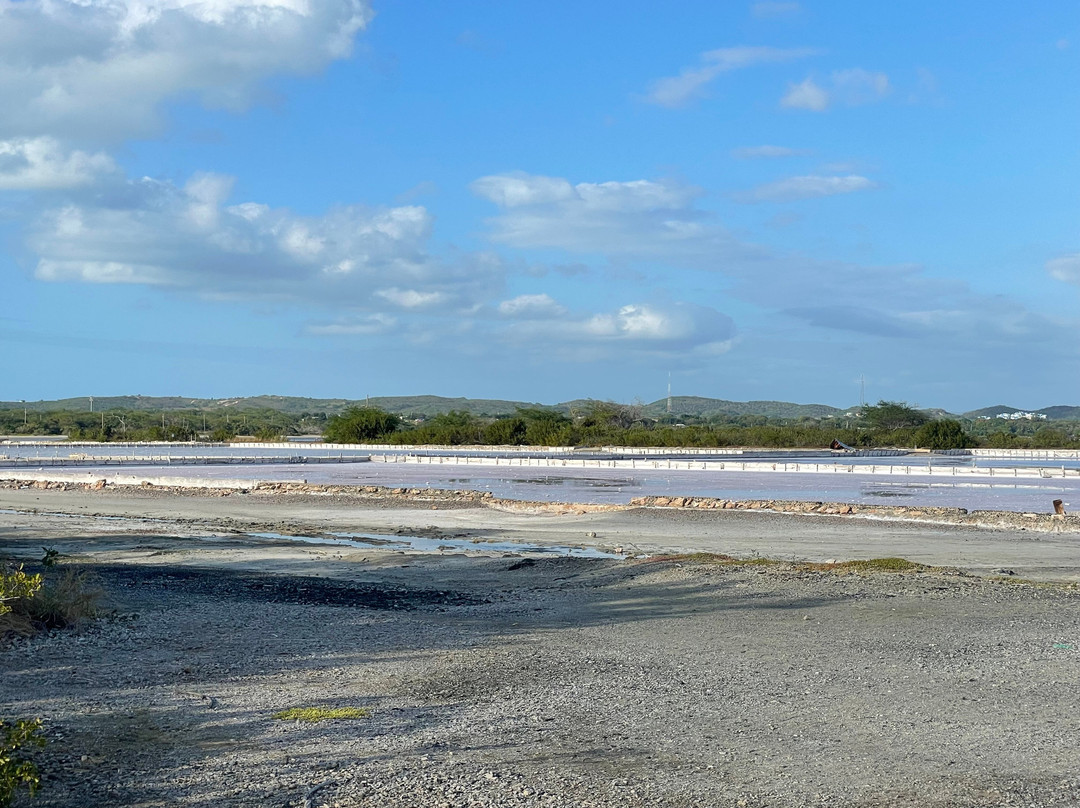 Salinas de Cabo Rojo-Cabo Rojo必去景点