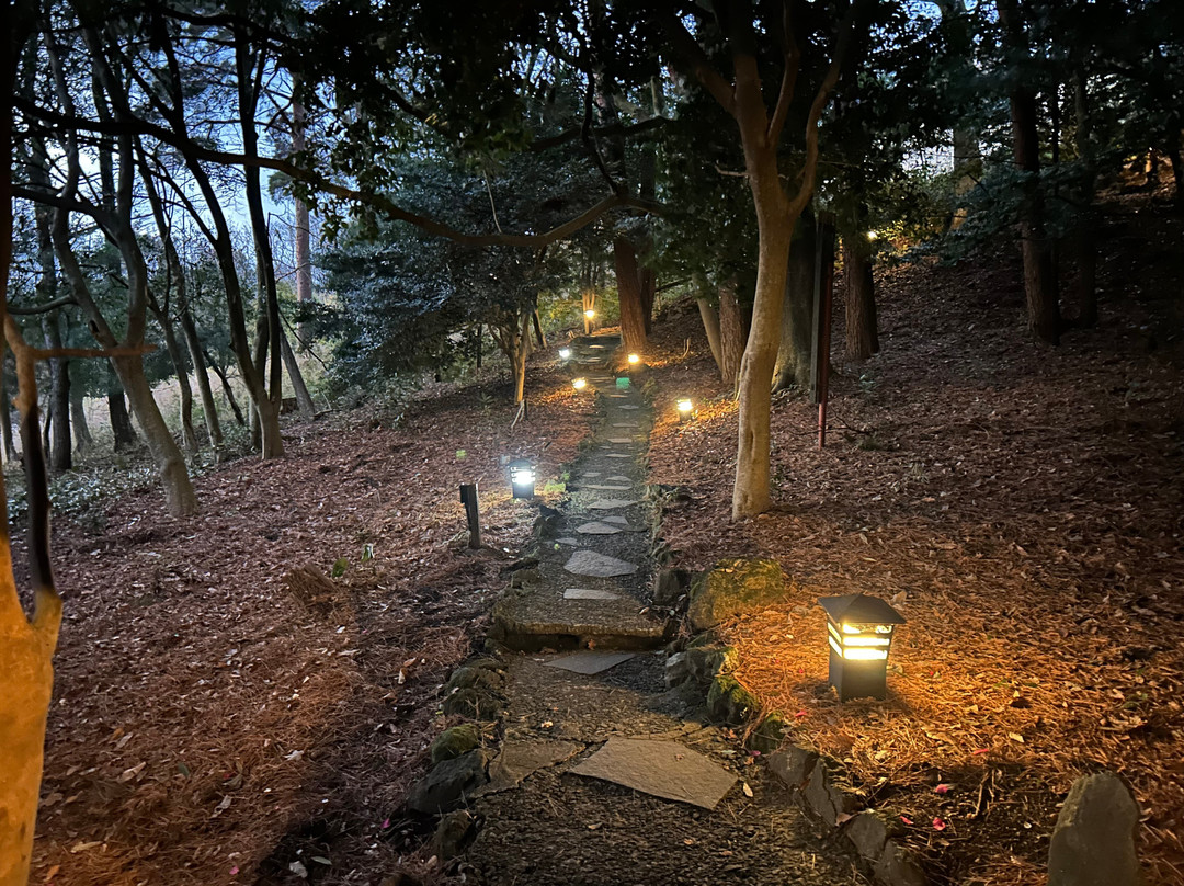 雾岛温泉 旅行人山庄主图