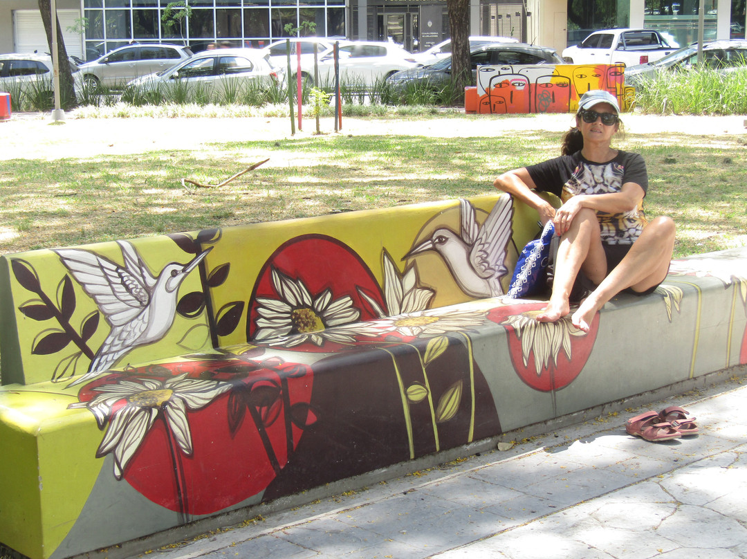 Plaza 25 de Mayo-雷西斯滕西亚必去景点