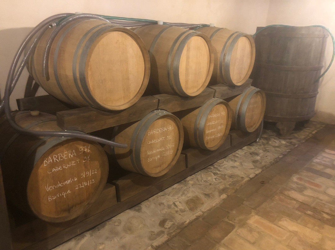 Tenuta I Musi Lunghi主图