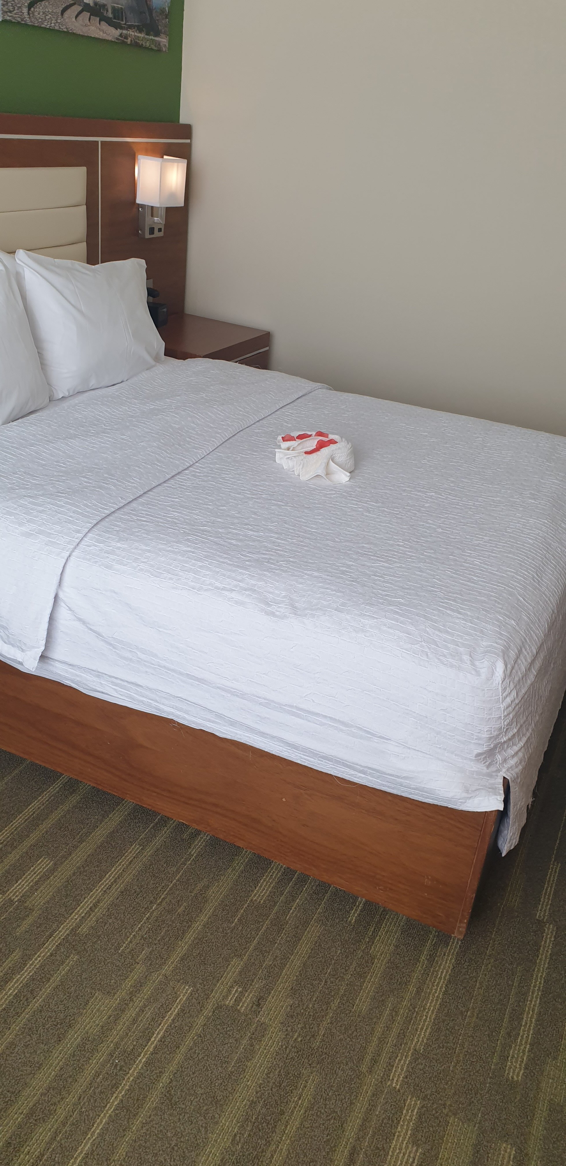 Hampton by Hilton Santo Domingo Airport-客卧