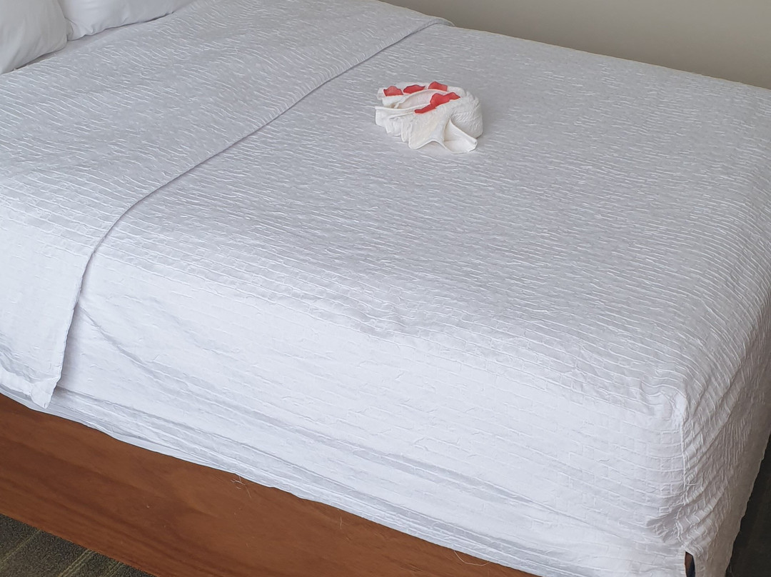 Hampton by Hilton Santo Domingo Airport主图