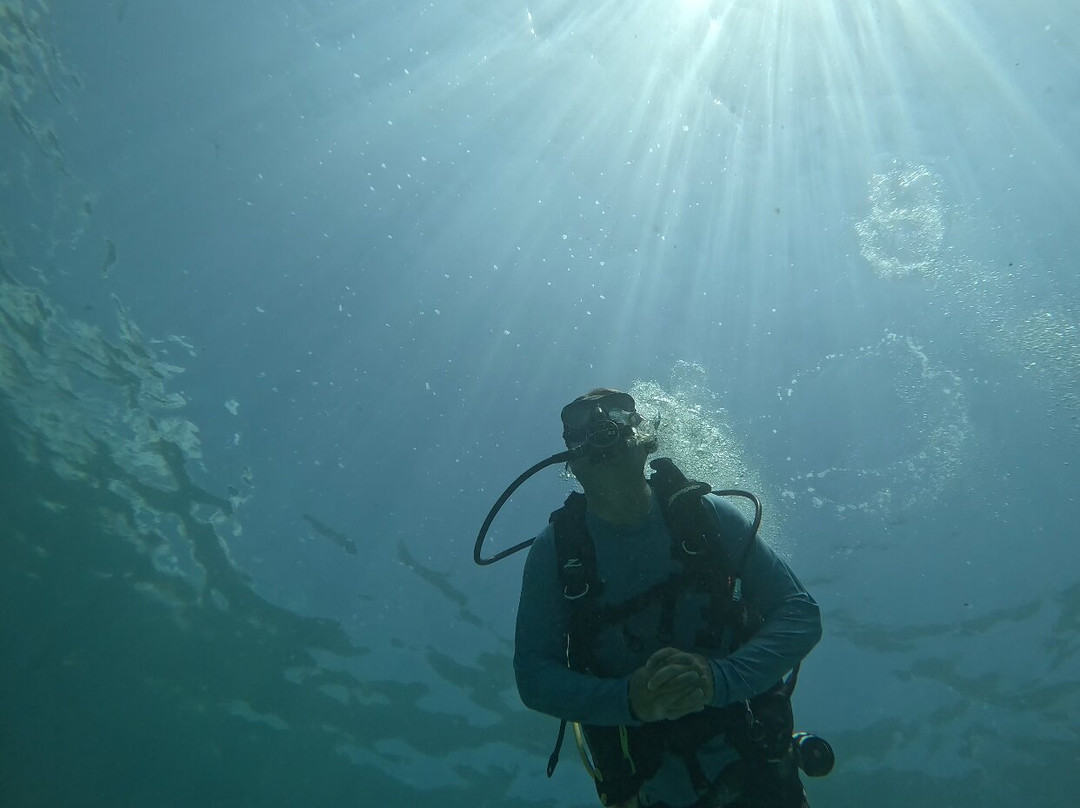 PR Dive-Bayamon必去景点