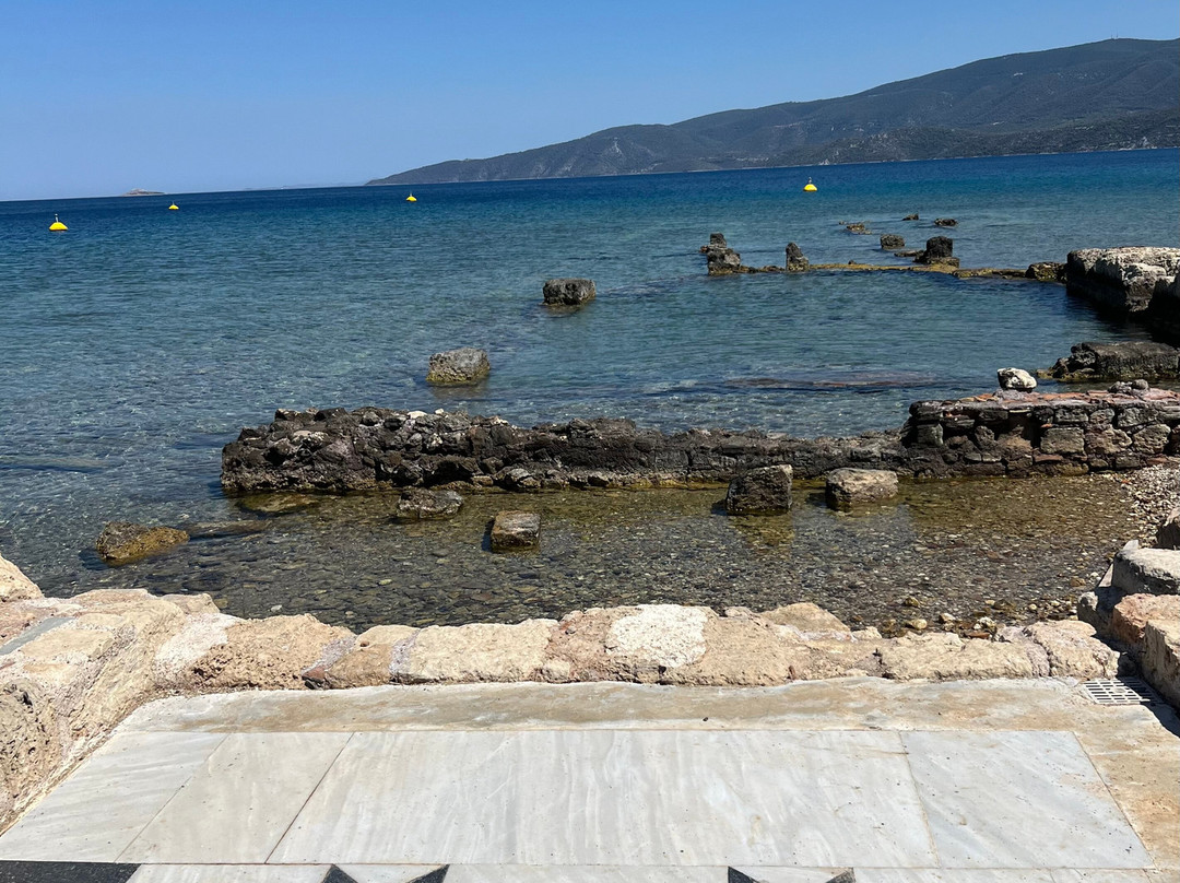 Yomadic Tours &Transfers OE-雅典必去景点