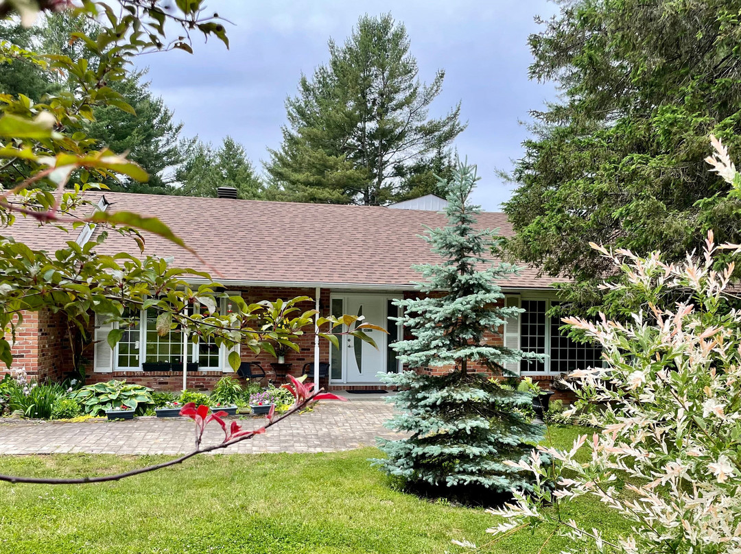 Andante Bed and Breakfast主图