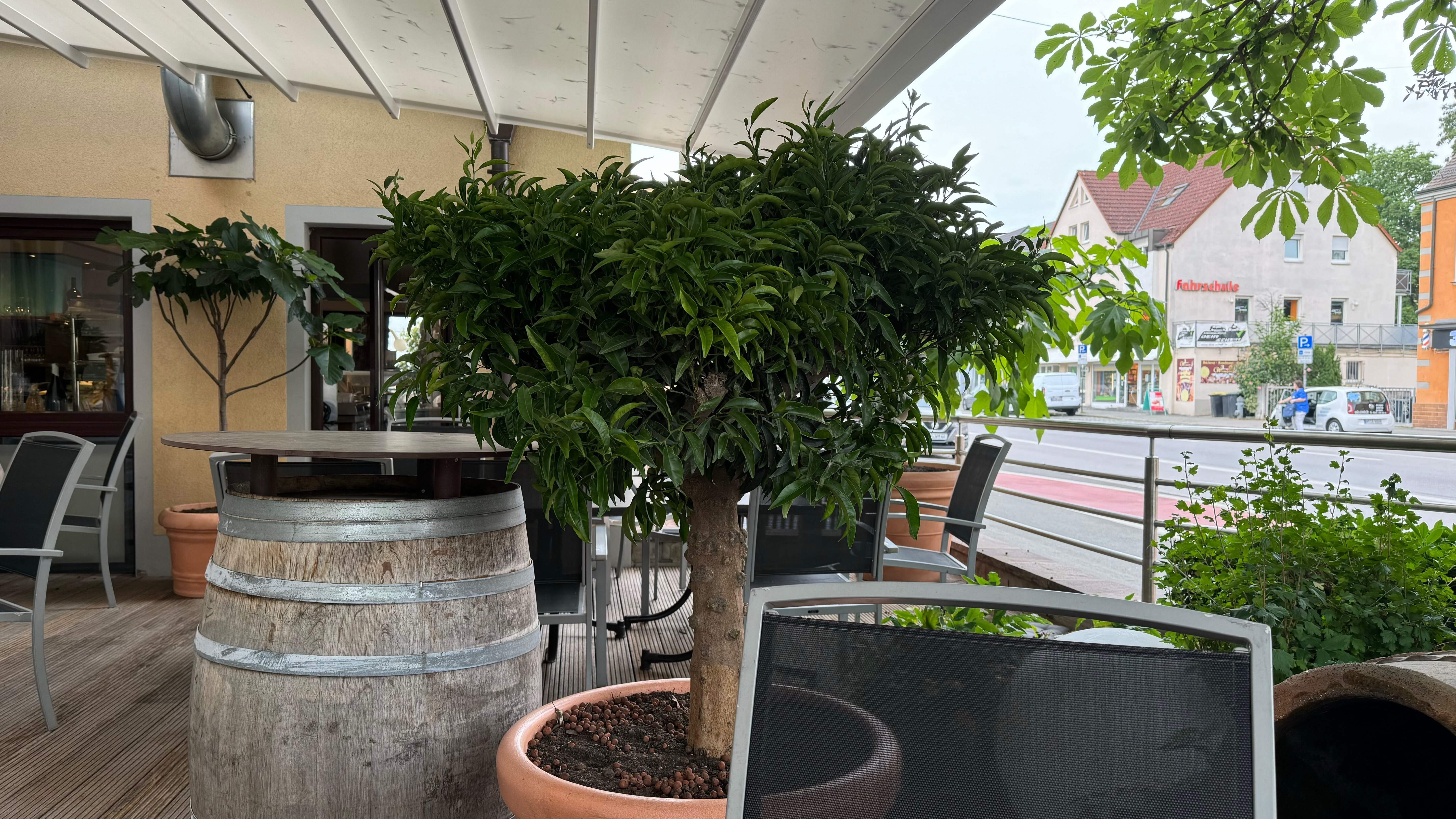 SAN REMO Fine.Food.Hotel-官方