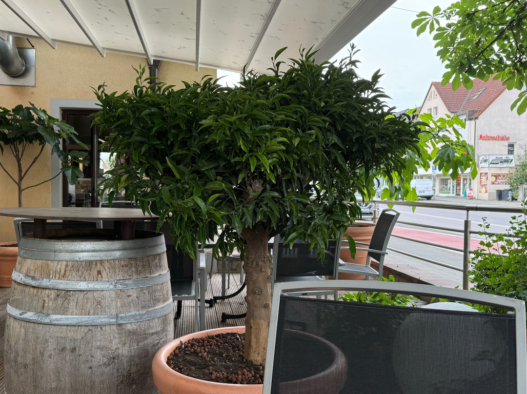 SAN REMO Fine.Food.Hotel主图