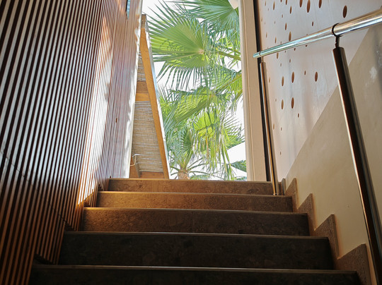 Sensus Experience By Lavris主图