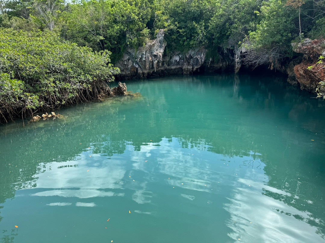 Blue Hole Park-百慕大必去景点