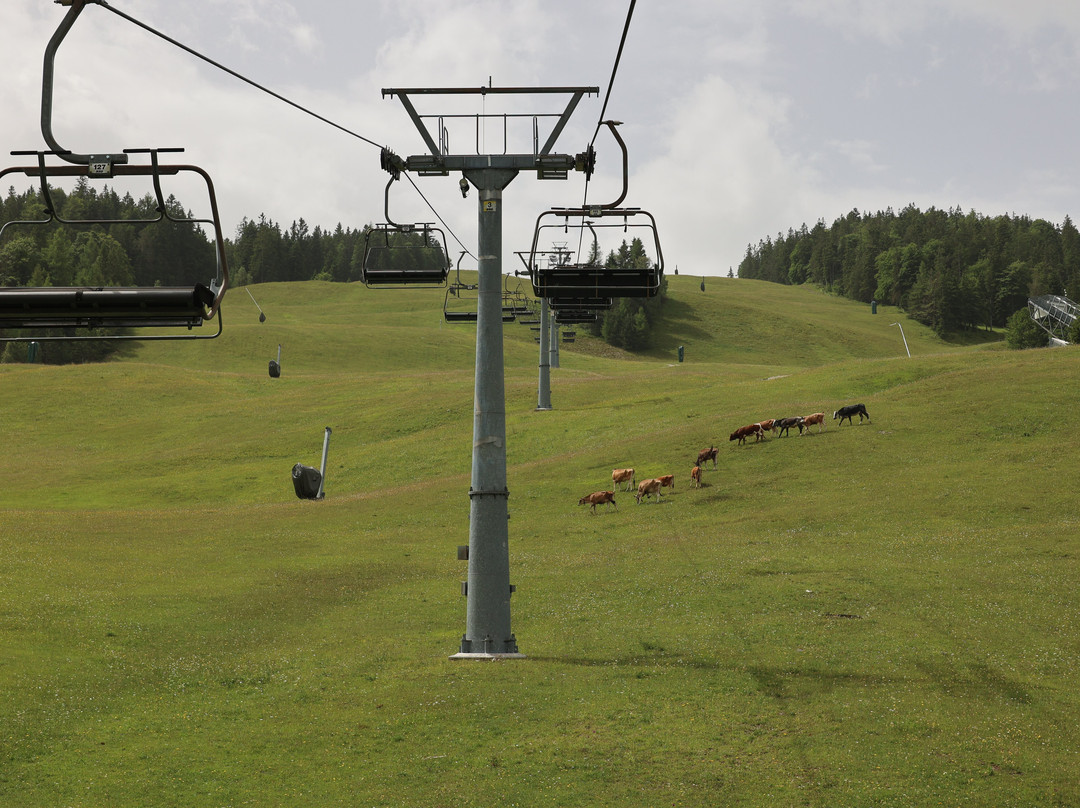 Skigebiet Gschwandtkopf-湖地必去景点