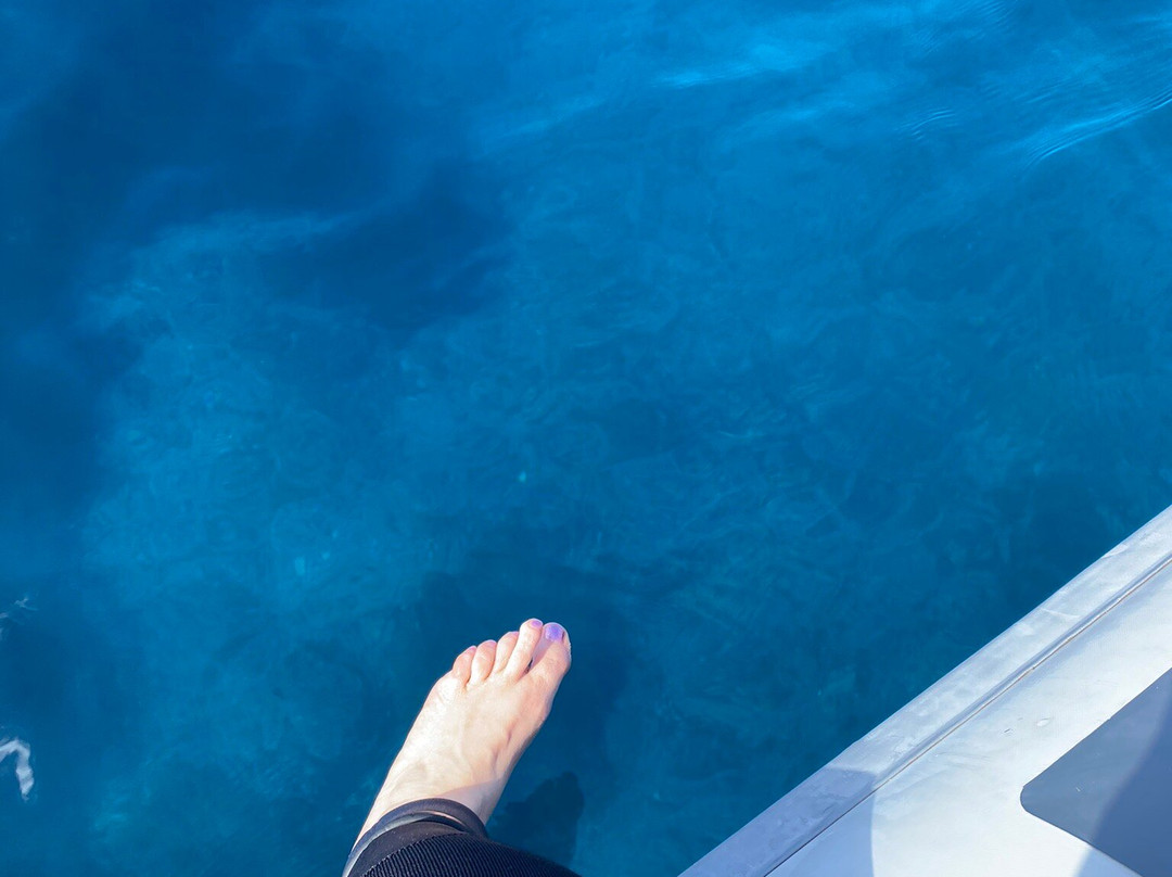 Blue Diving Ustica-Ustica必去景点