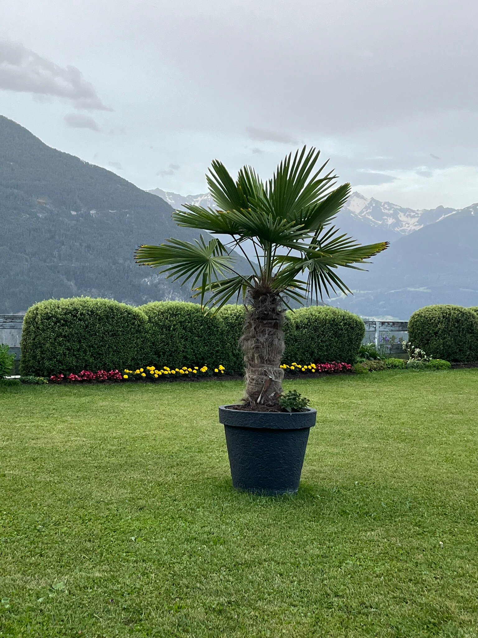 Hotel Belmont-官方