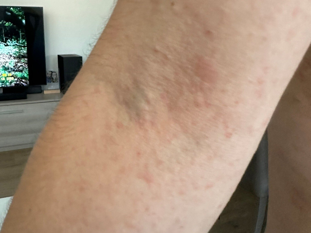 热迪罗马酒店主图