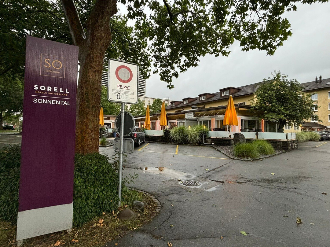 索雷尔索内塔尔酒店主图