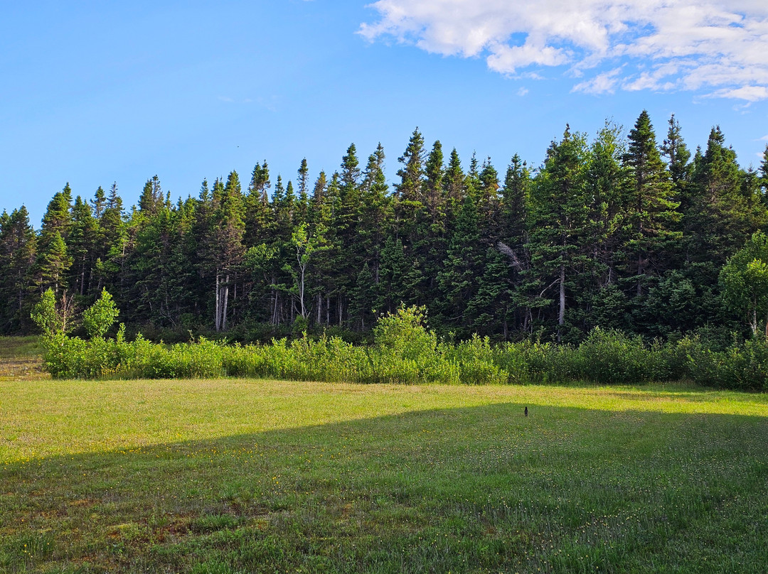 Round Da Bay Inn主图