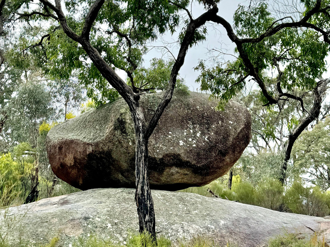 Girraween National Park景点图片