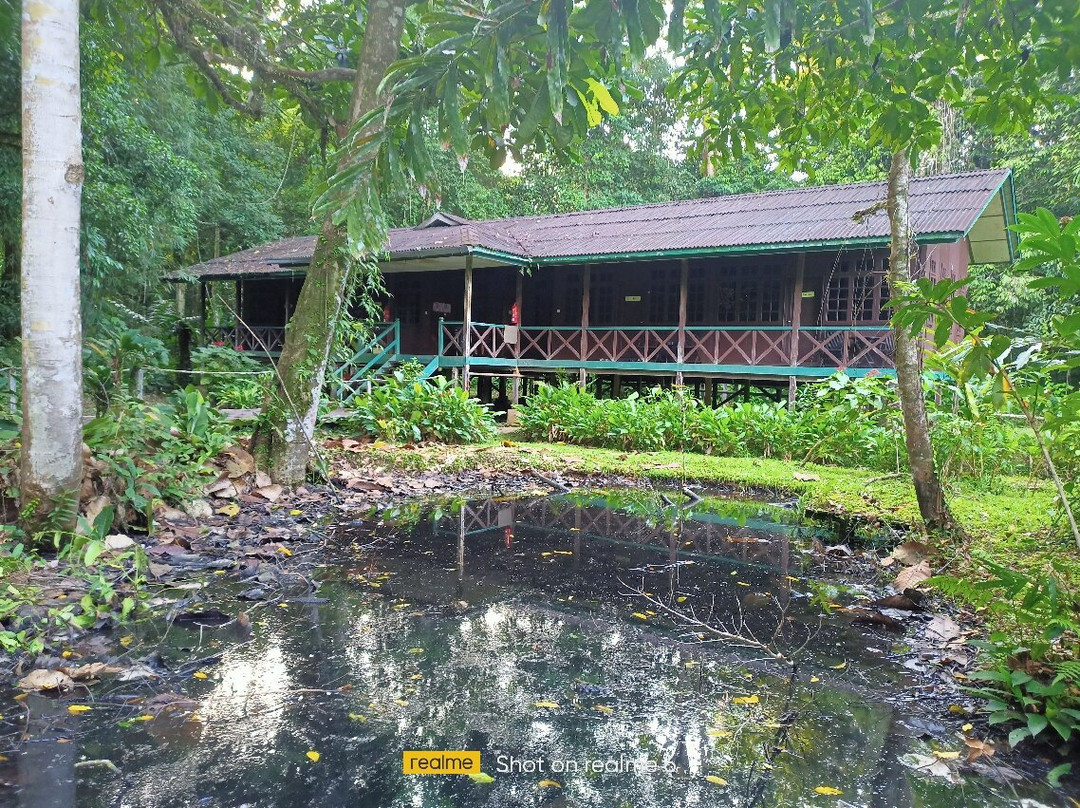 Mulu National Park主图