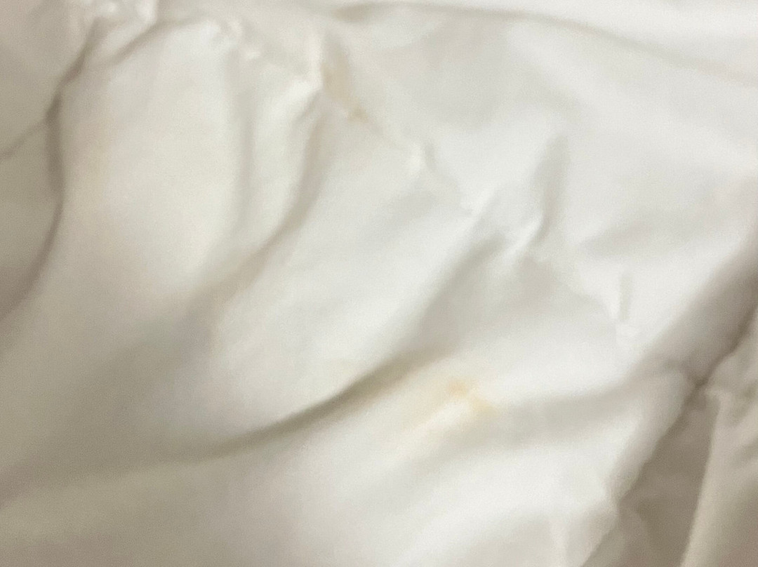 Country Inn & Suites by Radisson, Biloxi-Ocean Springs, MS主图