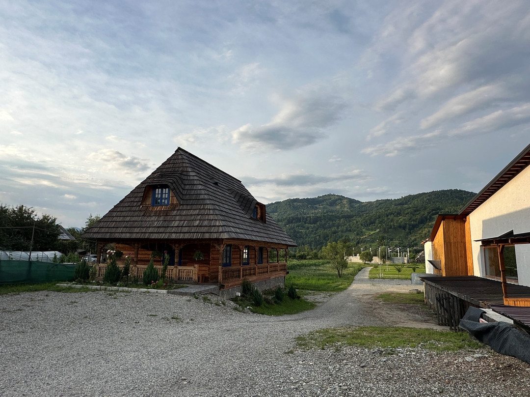 Dacii Liberi Resort & SPA主图