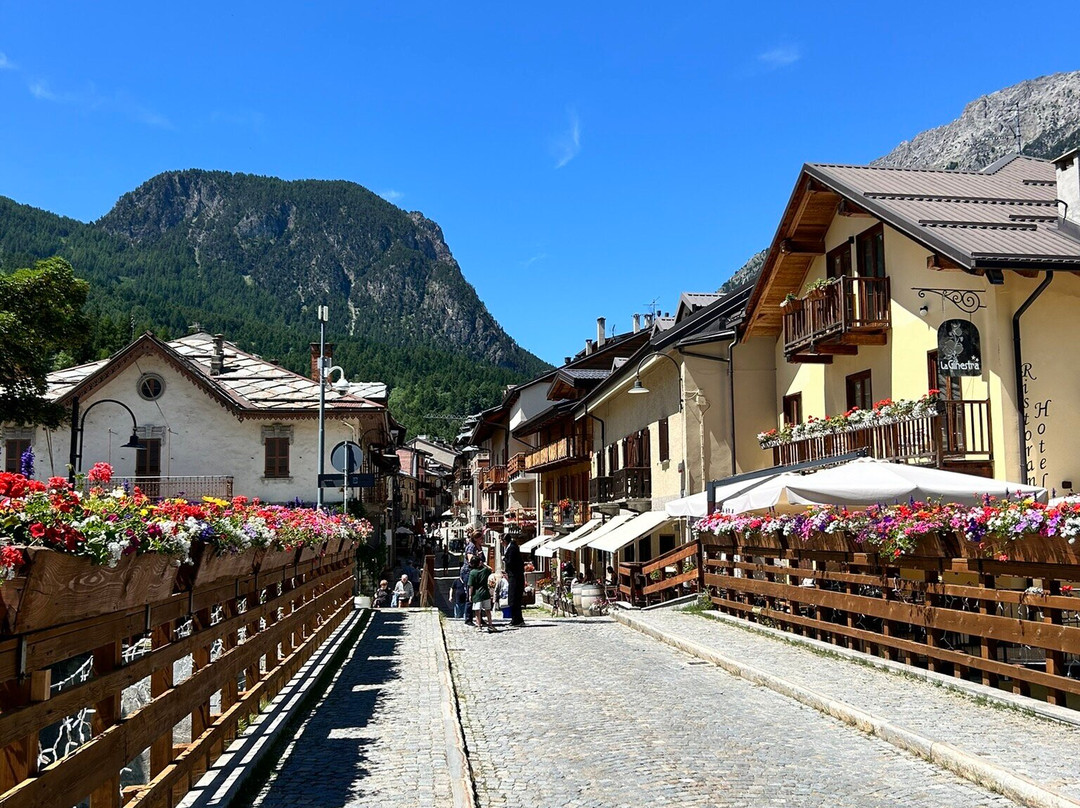 Olympic Mountains - Affittacamere主图