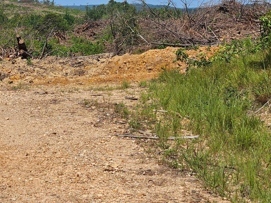 Lake Greeson-Murfreesboro必去景点