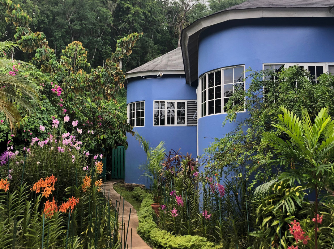 The Blue House Bed and Breakfast主图