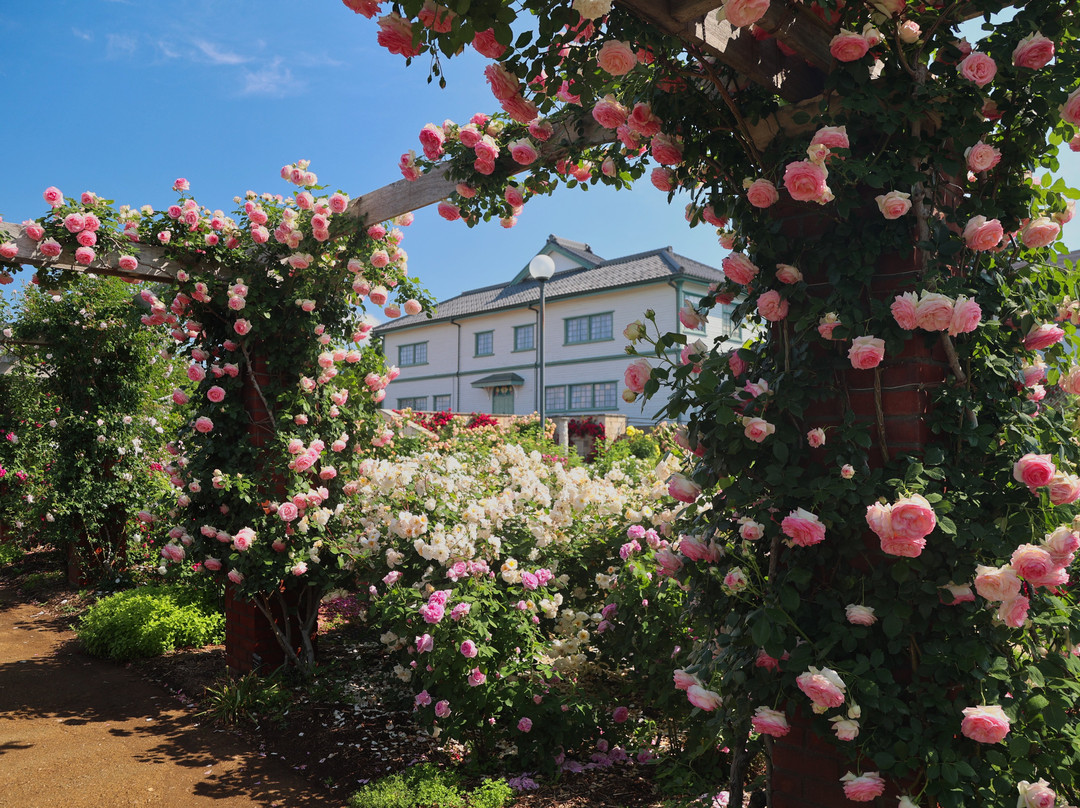 Ippongi Park-中野市必去景点