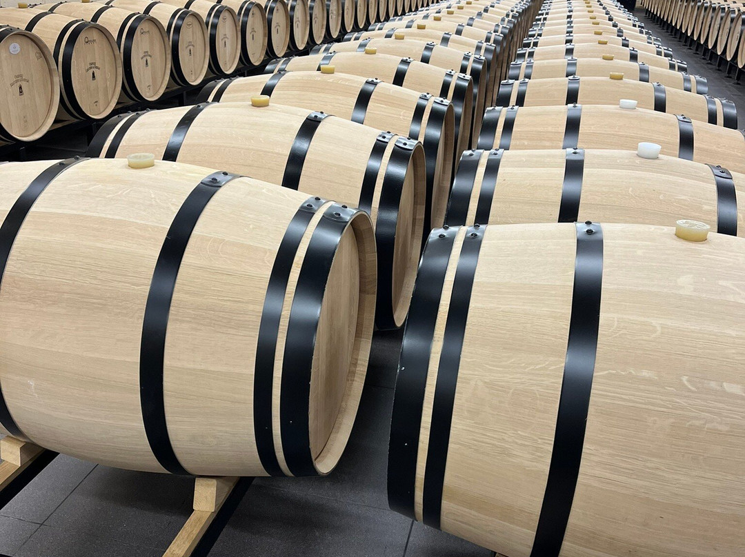 Château Balestard La Tonnelle-圣埃美隆必去景点