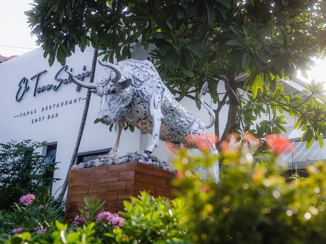 El Toro Salvaje Samui