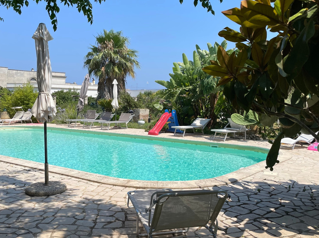 Palazzo Vecchio主图