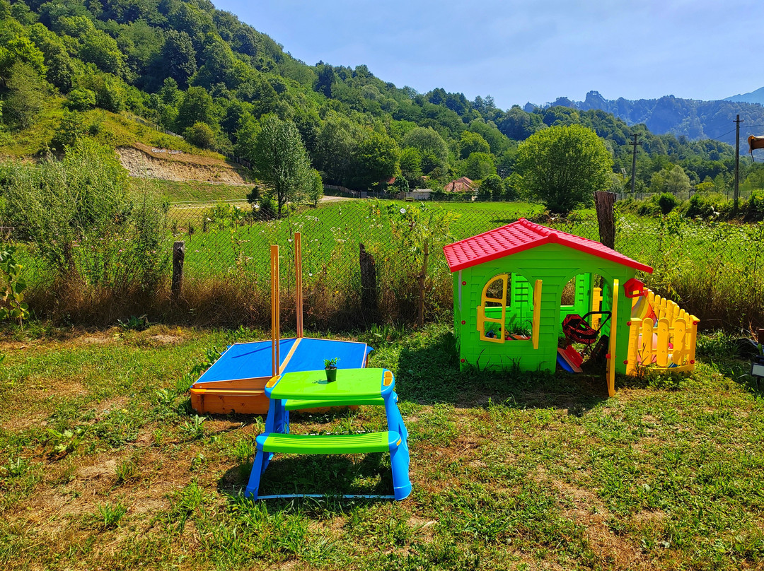 Luna Rock Glamping Brezoi