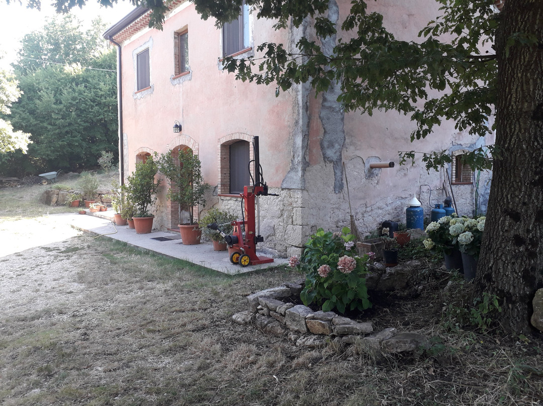 Bake piante Officinali e Medicinali