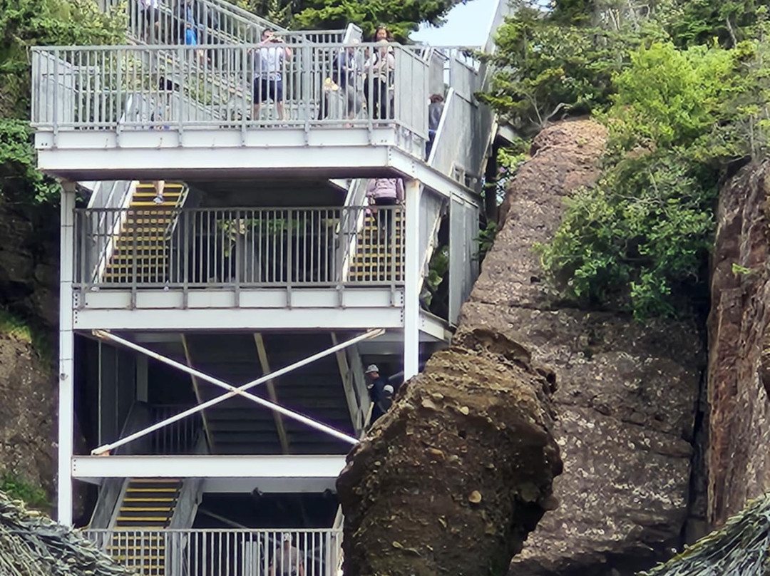 Magnetic Hill Park-蒙古顿必去景点