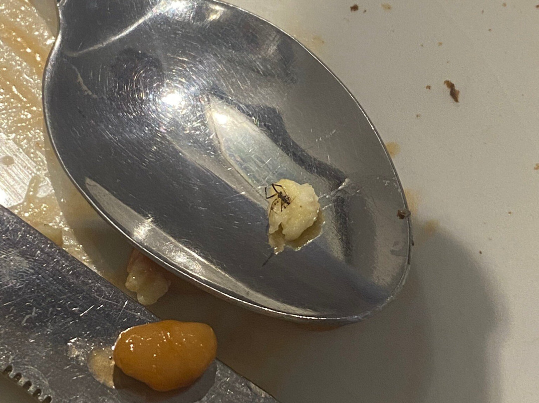 斯塔加尔特都市酒店主图
