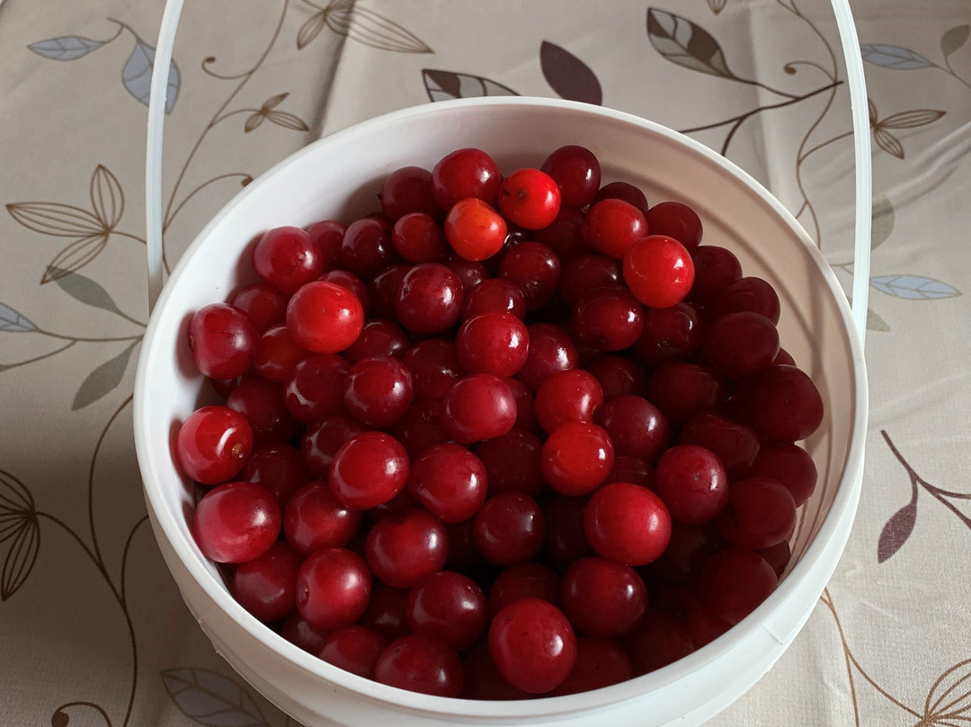 Hyline Orchard Farm Market-Fish Creek必去景点