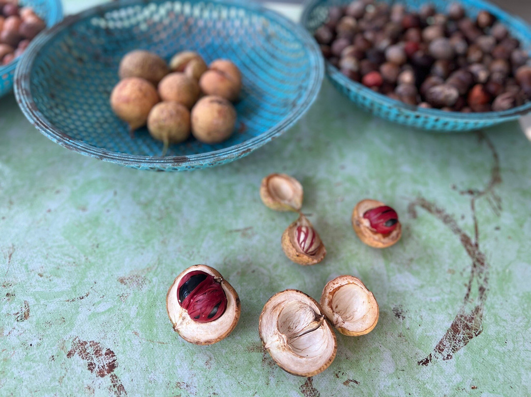 Ghee Hup Nutmeg Factory-浮罗山背必去景点