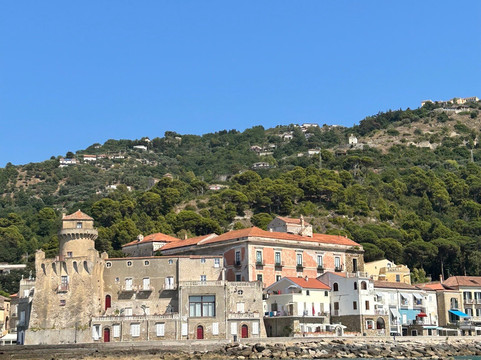 Sub Mania Diving Center-阿格罗波利必去景点