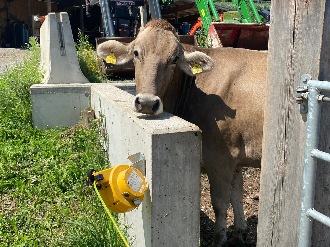 Pension Grubenhof主图